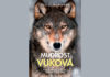 Elli H. Radinger: Mudrost vukova – Kako razmišljaju, planiraju i skrbe jedni o drugima