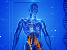 Izvor bolova, strahova i strepnji: Kako otključati zgrčeni “mišić duše”?