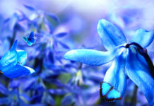 TJEDNI HOROSKOP od 16.3. do 22.3. – Najsretniji znakovi će biti Ovan, Rak, Jarac