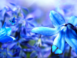 TJEDNI HOROSKOP od 16.3. do 22.3. – Najsretniji znakovi će biti Ovan, Rak, Jarac