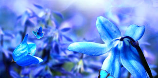 TJEDNI HOROSKOP od 16.3. do 22.3. – Najsretniji znakovi će biti Ovan, Rak, Jarac