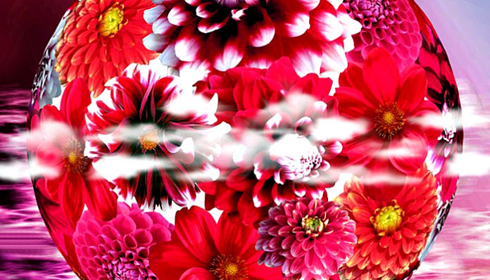 dahlia-175035_960_720