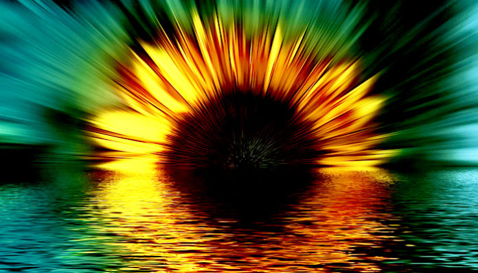 flowers-74889_960_720