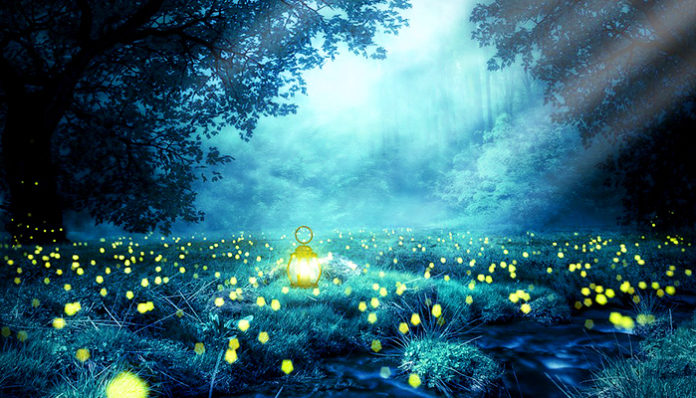 night-3078326_960_720