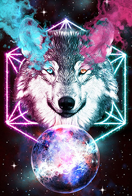 wolf 4226285 960 720