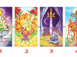 Test: Intuitivno odaberite kartu i ona će vam otkriti karmu i sudbinu za sljedeća 3 dana