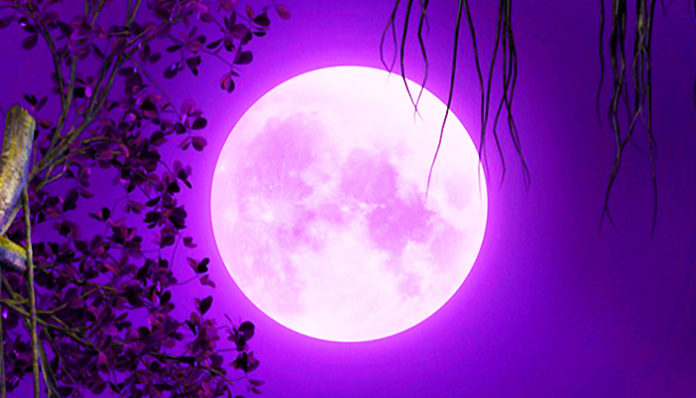 fairy-4870630_960_720