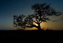 Sve dok nas vodi čista ljubav, put nije bitan, jer odredište je isto