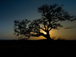 Sve dok nas vodi čista ljubav, put nije bitan, jer odredište je isto