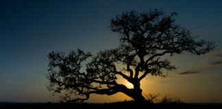 Sve dok nas vodi čista ljubav, put nije bitan, jer odredište je isto