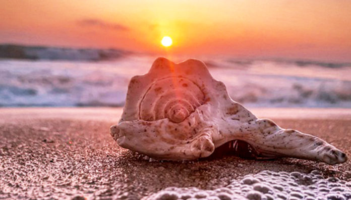 sunrise-4797258_960_720