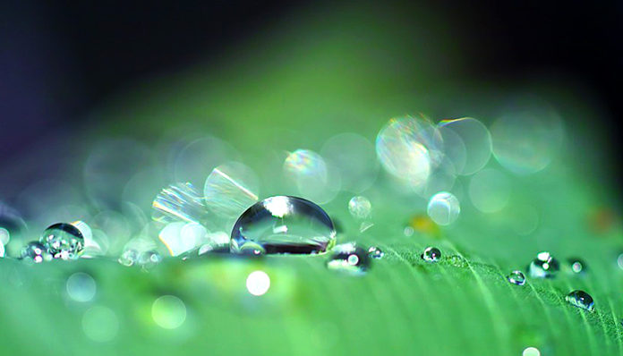 drop-of-water-3671613_960_720