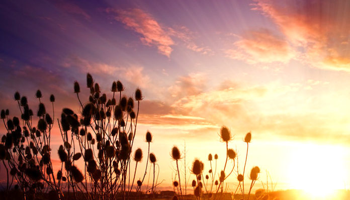 sunset-3261269_960_720