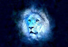 VELIKI GODIŠNJI HOROSKOP ZA LAVA ZA 2026. GODINU: Godina hrabrih rezova
