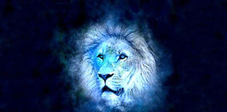 VELIKI GODIŠNJI HOROSKOP ZA LAVA ZA 2026. GODINU: Godina hrabrih rezova