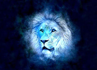 VELIKI GODIŠNJI HOROSKOP ZA LAVA ZA 2026. GODINU: Godina hrabrih rezova