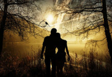 Postoji nevidljiva sila koja povezuje slične duše