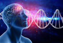 Dr. Bruce Lipton: “UM je glavni uzrok bolesti!”