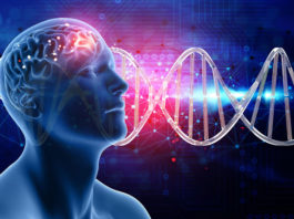 Dr. Bruce Lipton: “UM je glavni uzrok bolesti!”