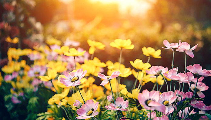 background-1587514_960_720