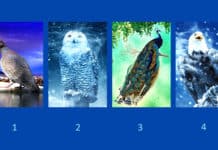 Test: Odaberite jednu od ovih ptica i otkrijte svoje snage i slabosti!