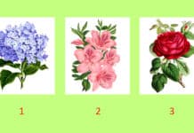 TEST: Odaberite cvijet i otkrijte što vas čeka u narednim mjesecima!