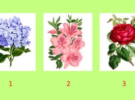 TEST: Odaberite cvijet i otkrijte što vas čeka u narednim mjesecima!