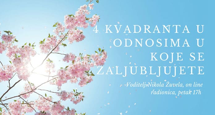 nikola-zuvela-radionica