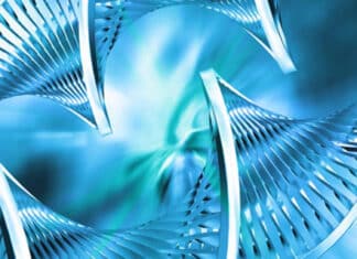 Napredni DNK2 ThetaHealing® tečaj