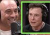 Društveni mediji nas uništavaju – Joe Rogan i Elon Musk