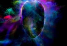 OVIH 5 osjećaja truju vaše tijelo