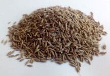 Voda s kuminom – ljekoviti napitak koji spašava od brojnih tegoba kumin