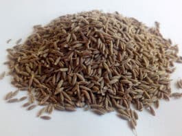 Voda s kuminom – ljekoviti napitak koji spašava od brojnih tegoba kumin