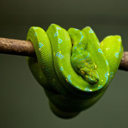 python 1866944