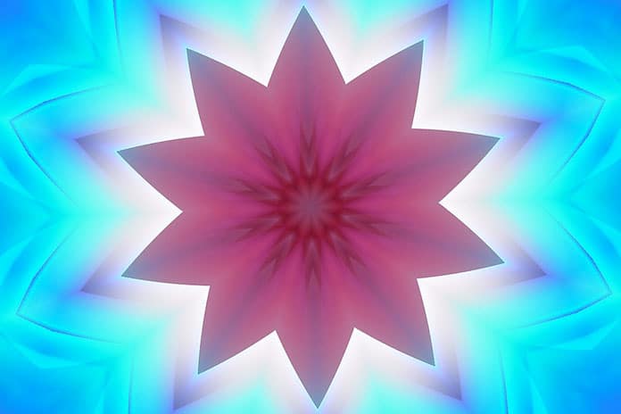 flower-2630305_1280