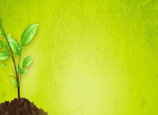 Osnovni DNK2 ThetaHealing® tečaj – Korak gdje sve počinje