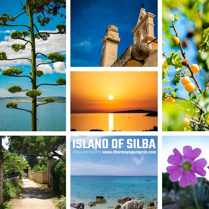 2 Otok Silba Dharma Yoga Zagreb Summer Retreats Island of Silba Photo Kristijan Kolega 2022