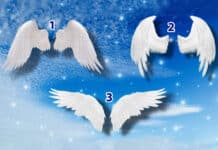 Odaberite krila anđela i otkrijte posebnu poruku za vas