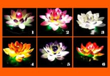 Odaberite lotosov cvijet – saznat ćete vrijedan savjet za ovaj životni trenutak!