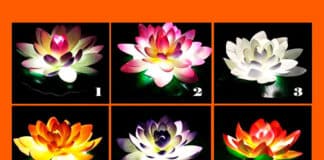 Odaberite lotosov cvijet – saznat ćete vrijedan savjet za ovaj životni trenutak!