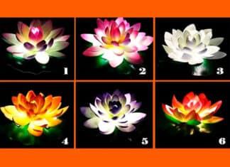 Odaberite lotosov cvijet – saznat ćete vrijedan savjet za ovaj životni trenutak!