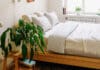 Biljke u spavaćoj sobi: Oduzimaju li vam kisik dok spavate?