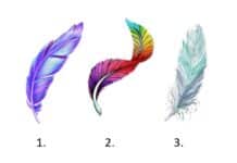 TEST: Odaberite pero i saznajte anđeosku poruku za proljeće!