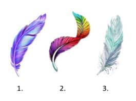 TEST: Odaberite pero i saznajte anđeosku poruku za proljeće!