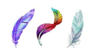 TEST: Odaberite pero i saznajte anđeosku poruku za proljeće!