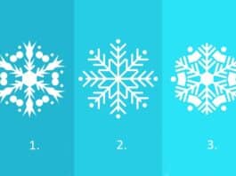 Test: Odaberite pahulju i otkrijte hoće li se vaše želje ostvariti