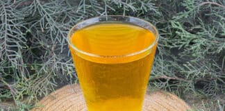 Čišćenje jetre: Eliksir od samo tri sastojka koji eliminira masnoće i toksine