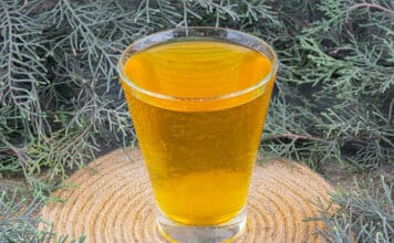 Čišćenje jetre: Eliksir od samo tri sastojka koji eliminira masnoće i toksine