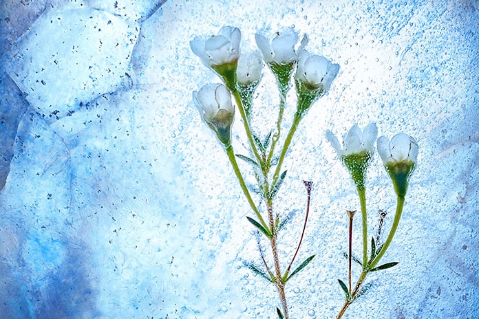 zoltan-tasi-hUp58GsPKAw-unsplash