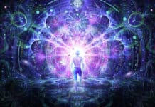 PORTAL 12/12 – Otključavanje svjetlosnih kodova DNK, oživljavanje stanične memorije i uspavanih sposobnosti